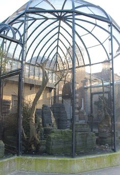 there is a caged area with animals in it