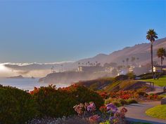 the sun shines brightly in front of some hills and flowers