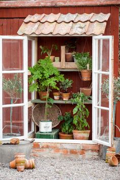 an open window with potted plants in it