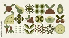 an assortment of different types of plants and flowers on a white background with green leaves