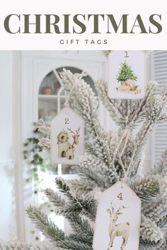 a christmas tree with tags hanging from it's branches and the words, christmas gift tags