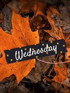 the words wednesday written on a black and white banner surrounded by leaves in autumn colors