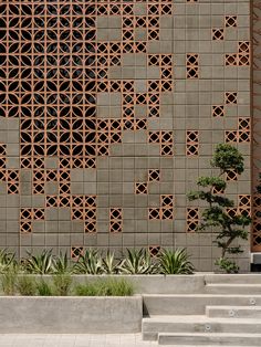 a man riding a skateboard down the side of a cement wall next to plants