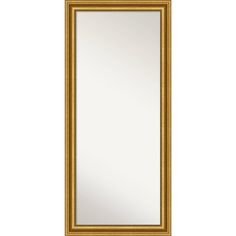 a large gold framed mirror on a white wall with an ornate border around the edge