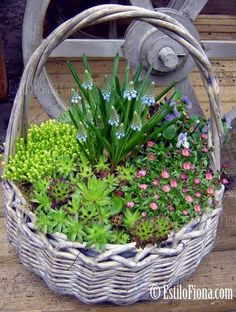 a wicker basket filled with succulents and flowers