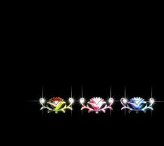 four different colored flowers on a black background with sparkles in the middle and one flower at the bottom