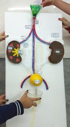 three people are working on a tree made out of doughnuts and paper plates