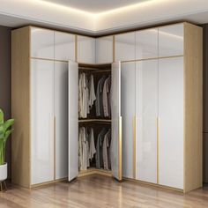 an open closet with clothes on hangers and a potted plant in the corner