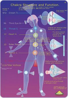 Chackra 12 Chakras, Healing Chakras, Chakra Heilung, Pranic Healing, Chakra System, Energy Medicine, Alternative Healing, Reiki Energy