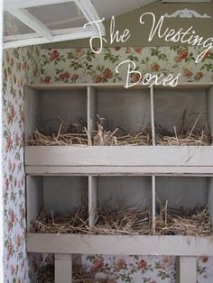 the nesting boxes are filled with birds in their nests