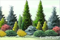 an artistic painting of trees and shrubs