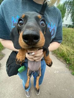 a person holding a small dog in their lap and looking at the camera with big eyes