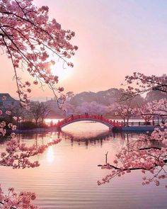 the sun is setting behind cherry blossom trees and a bridge over water with people walking across it