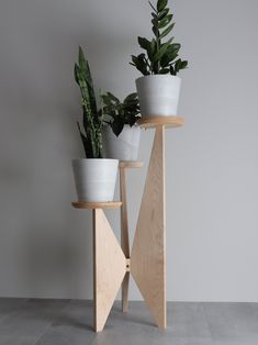 three potted plants sitting on top of two wooden plant stands next to each other