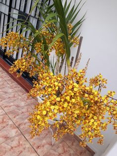 some yellow flowers are in a vase on the ground