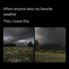 two pictures with the same sky and grass