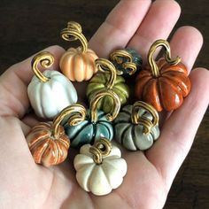 a person is holding several small pumpkins in their palm and they are all different colors