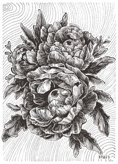 a black and white drawing of a flower