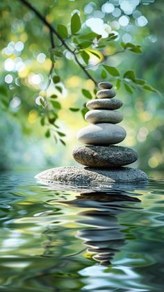 rocks stacked on top of each other in the water with green leaves around them, and reflecting