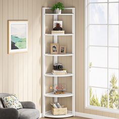 a corner shelf in the corner of a living room