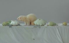 a small white animal standing on top of a table covered in fruit and veggies