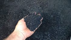 a hand is holding black soil in the dirt