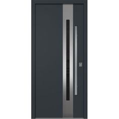 an image of a modern steel door with glass and metal trims on the side