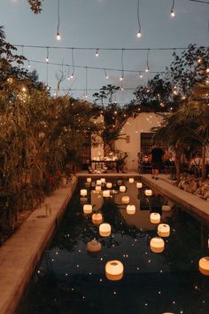 many lit candles are floating in the water near some plants and lights strung from the ceiling