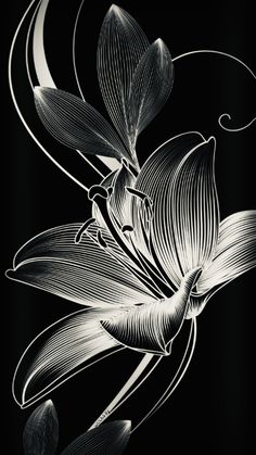 a black and white drawing of flowers with swirls on the petals, against a dark background