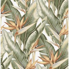 a wallpaper with tropical leaves and flowers