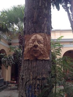 a tree with a cardboard face on it