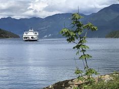 a large white boat floating on top of a lake next to green trees and mountains