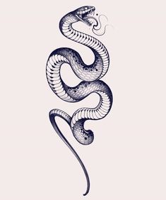 a drawing of a snake on a white background