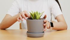 a woman holding a potted plant on top of a wooden table in front of her