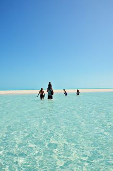 four people are wading in the clear blue water