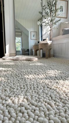 a bedroom with a white carpet and a tree in the corner