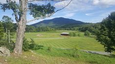 an open field with mountains in the background and trees on either side, surrounded by grass