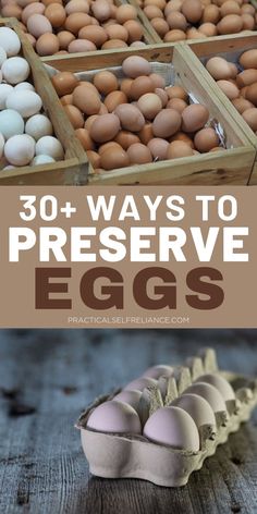 an egg carton filled with eggs and the words 30 + ways to preserve eggs