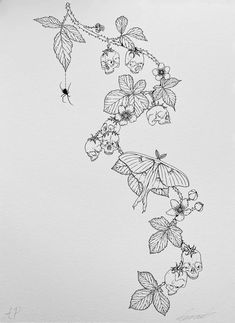 an ink drawing of flowers and leaves on paper