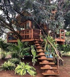 a tree house built into the side of a hill with stairs leading up to it