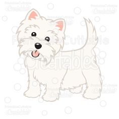 a small white dog with its tongue out