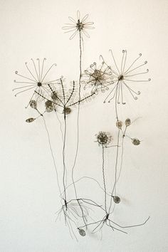 an arrangement of dried flowers against a white wall