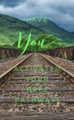 a train track with the words have you activated your riz patway