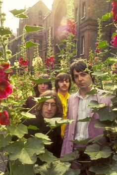 the rolling stones standing in front of red flowers and greenery on a sunny day