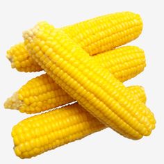 three ears of corn on a white background with clipping area for text or image