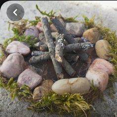 some rocks and sticks are in the middle of a small patch of moss on concrete