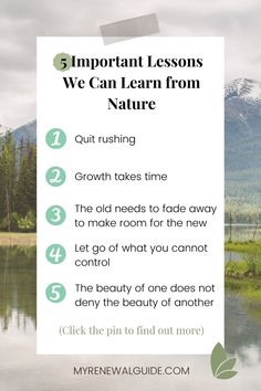 Text overlay on greenery background. It states 5 important lessons we can learn from nature Nature Lessons, Important Life Lessons, Life Balance, Everyday Life, Life Lessons, The Beauty, Things That