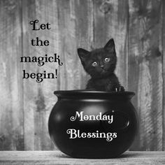 a black kitten sitting in a caulder with the words monday blessing on it