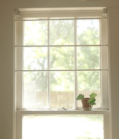 there is a small potted plant sitting on the window sill in this room