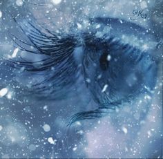 an artistic photograph of a blue horse's eye in the snow with words new year written on it